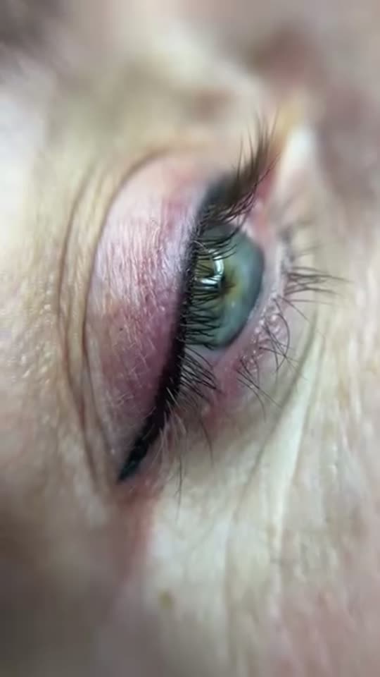 Kalıcı Eyeliner